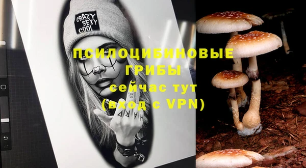 марки nbome Лабытнанги